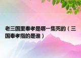 老三国里奉孝是哪一集死的（三国奉孝指的是谁）