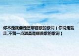 你不走我要走是哪首歌的歌词（你说走就走,不留一点温柔是哪首歌的歌词）
