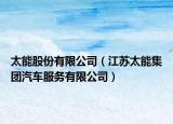 太能股份有限公司（江苏太能集团汽车服务有限公司）