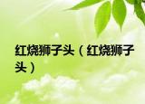 红烧狮子头（红烧狮子头）