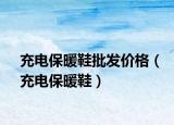 充电保暖鞋批发价格（充电保暖鞋）