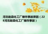 河北赵县化工厂爆炸事故原因（228河北赵县化工厂爆炸事故）