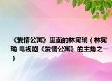 《爱情公寓》里面的林宛瑜（林宛瑜 电视剧《爱情公寓》的主角之一）