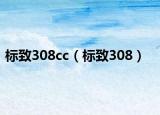 标致308cc（标致308）