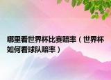 哪里看世界杯比赛赔率（世界杯如何看球队赔率）