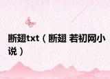 断翅txt（断翅 若初网小说）