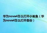 华为nova4怎么打开小鲨鱼（华为nova4怎么打开备份）