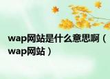 wap网站是什么意思啊（wap网站）