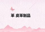 革 皮革制品
