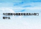今日更新马桶盖发霉清洗小窍门有什么