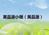 黄品源小薇（黄品源）
