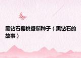 黑钻石樱桃番茄种子（黑钻石的故事）
