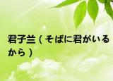君子兰（そばに君がいるから）