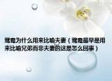 鸳鸯为什么用来比喻夫妻（鸳鸯最早是用来比喻兄弟而非夫妻的这是怎么回事）