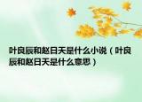 叶良辰和赵日天是什么小说（叶良辰和赵日天是什么意思）