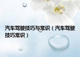 汽车驾驶技巧与常识（汽车驾驶技巧常识）