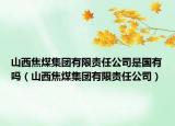 山西焦煤集团有限责任公司是国有吗（山西焦煤集团有限责任公司）
