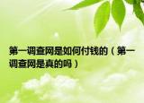 第一调查网是如何付钱的（第一调查网是真的吗）