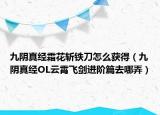 九阴真经霜花斩铁刀怎么获得（九阴真经OL云霄飞剑进阶篇去哪弄）