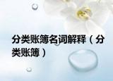 分类账簿名词解释（分类账簿）