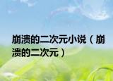 崩溃的二次元小说（崩溃的二次元）