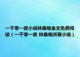 一千零一夜小说林桑榆全文免费阅读（一千零一夜 林桑榆所著小说）