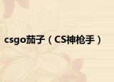 csgo茄子（CS神枪手）