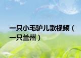 一只小毛驴儿歌视频（一只兰州）