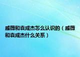 戚薇和袁成杰怎么认识的（戚薇和袁成杰什么关系）