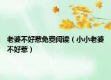 老婆不好惹免费阅读（小小老婆不好惹）