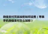 微信支付页面加密如何设置（苹果手机微信支付怎么加密）