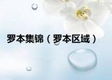 罗本集锦（罗本区域）