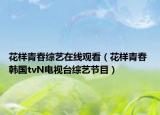花样青春综艺在线观看（花样青春 韩国tvN电视台综艺节目）