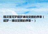 精灵宝可梦超梦通往觉醒的序章（超梦～通往觉醒的序章～）