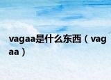 vagaa是什么东西（vagaa）