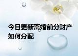 今日更新离婚前分财产如何分配