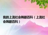 我的上流社会韩剧百科（上流社会韩剧百科）