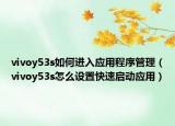 vivoy53s如何进入应用程序管理（vivoy53s怎么设置快速启动应用）