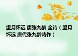 望月怀远 唐张九龄 全诗（望月怀远 唐代张九龄诗作）