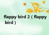 flappy bird 2（flappy bird）