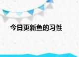 今日更新鱼的习性
