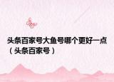 头条百家号大鱼号哪个更好一点（头条百家号）