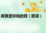 寂寞是你给的苦（歌词）