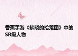 香蕉手游《拂晓的拾荒团》中的SR级人物