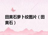 田黄石萝卜纹图片（田黄石）
