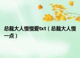总裁大人慢慢爱txt（总裁大人慢一点）