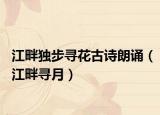 江畔独步寻花古诗朗诵（江畔寻月）