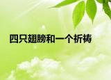 四只翅膀和一个祈祷