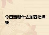 今日更新什么东西吃蟑螂