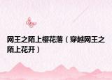 网王之陌上樱花落（穿越网王之陌上花开）